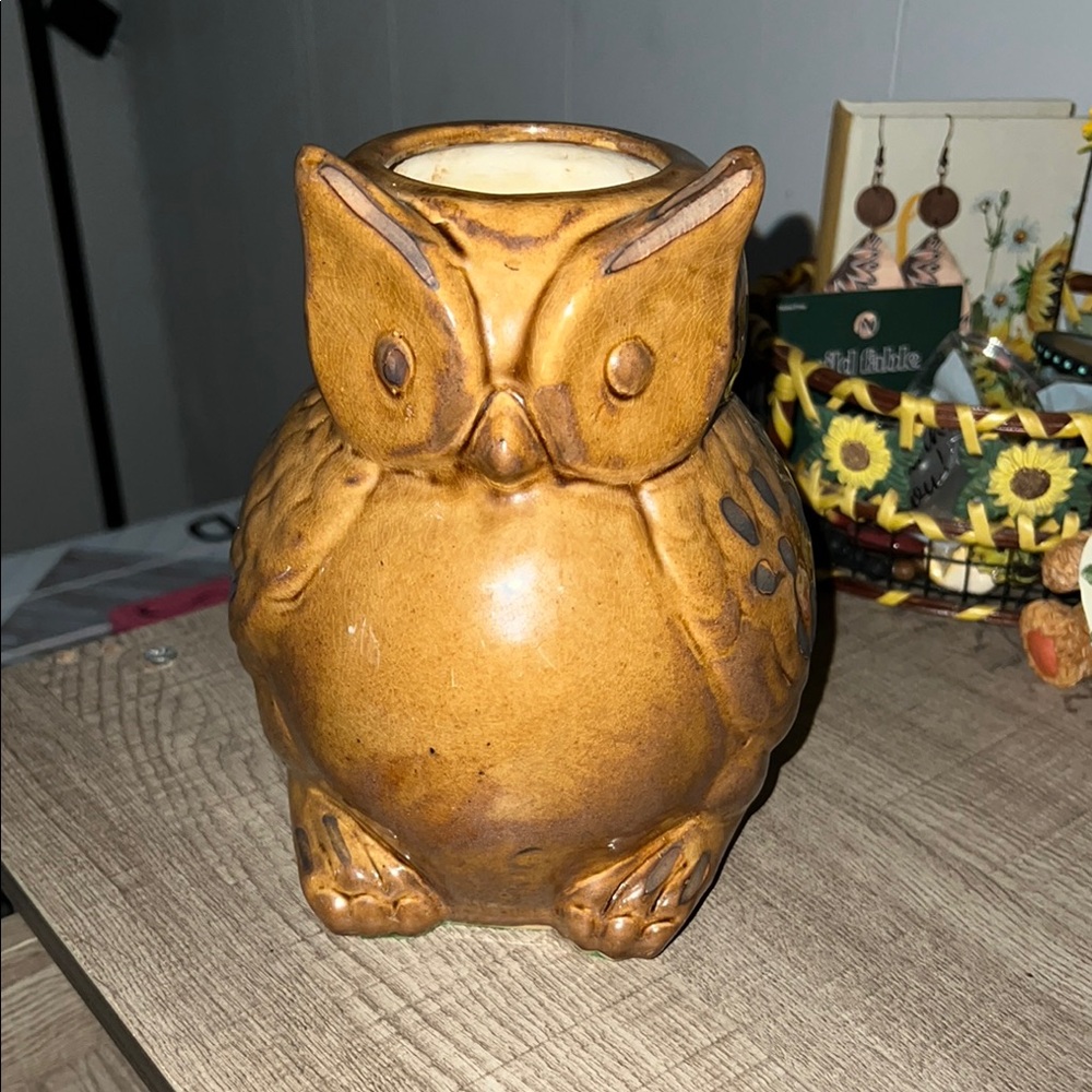 Brown Owl Ceramic Plant Holder